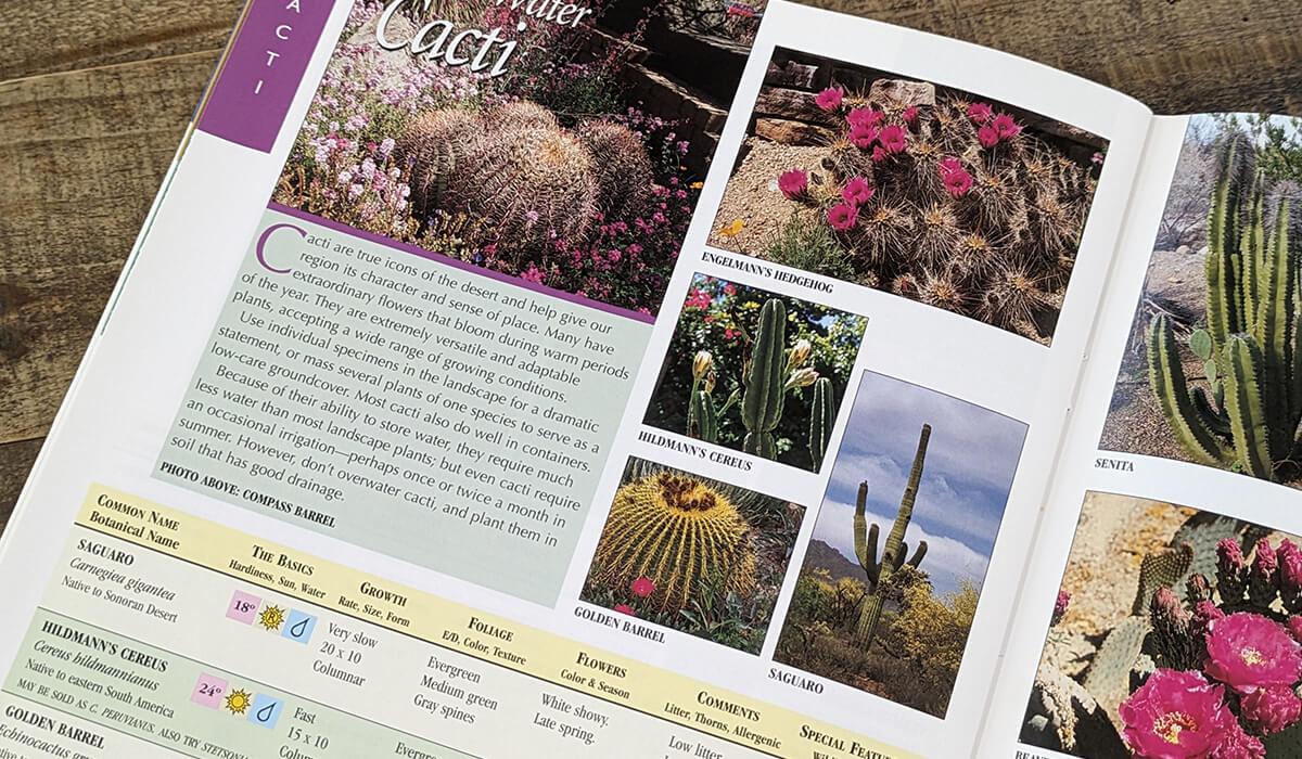 planting guide for plants native to arizona by arizona municipal water users association