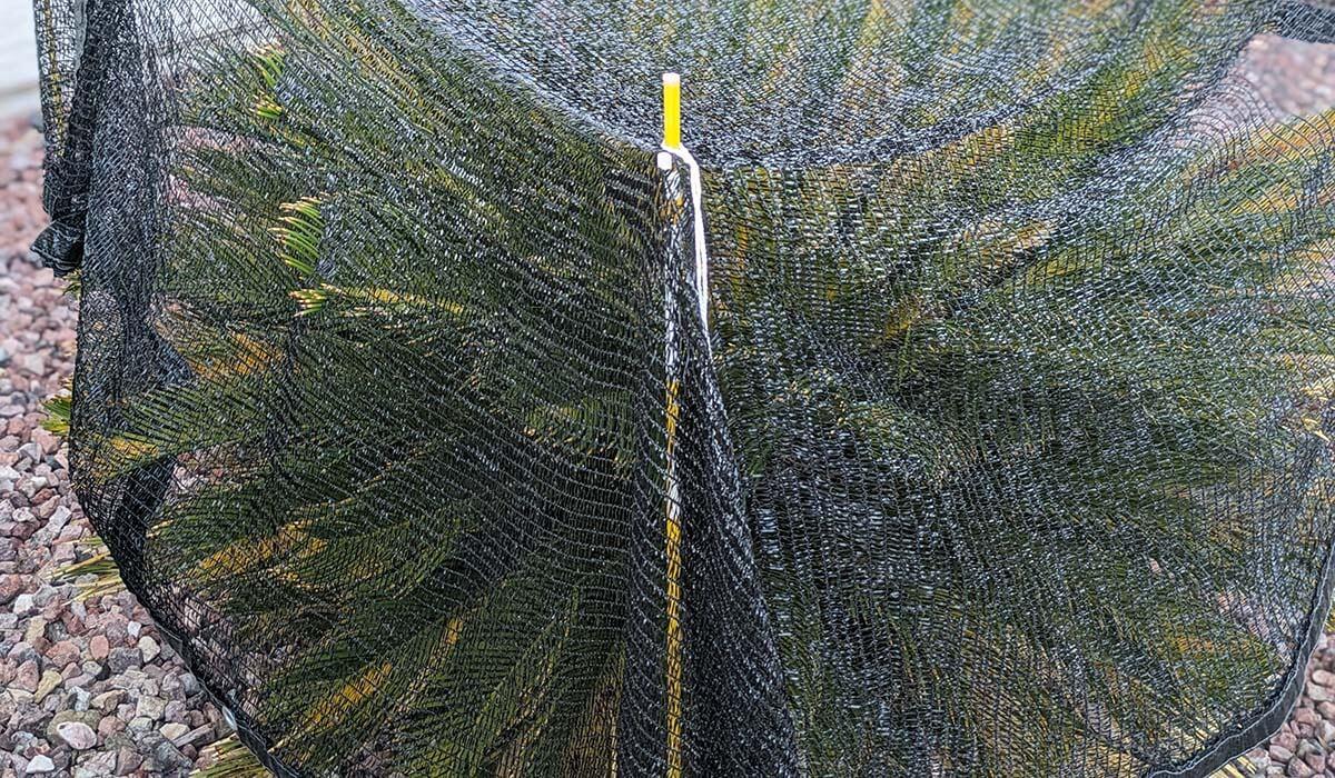 agfabric shade cloth