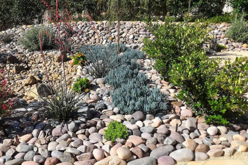 xeriscaping to reduce water usage from irrigation