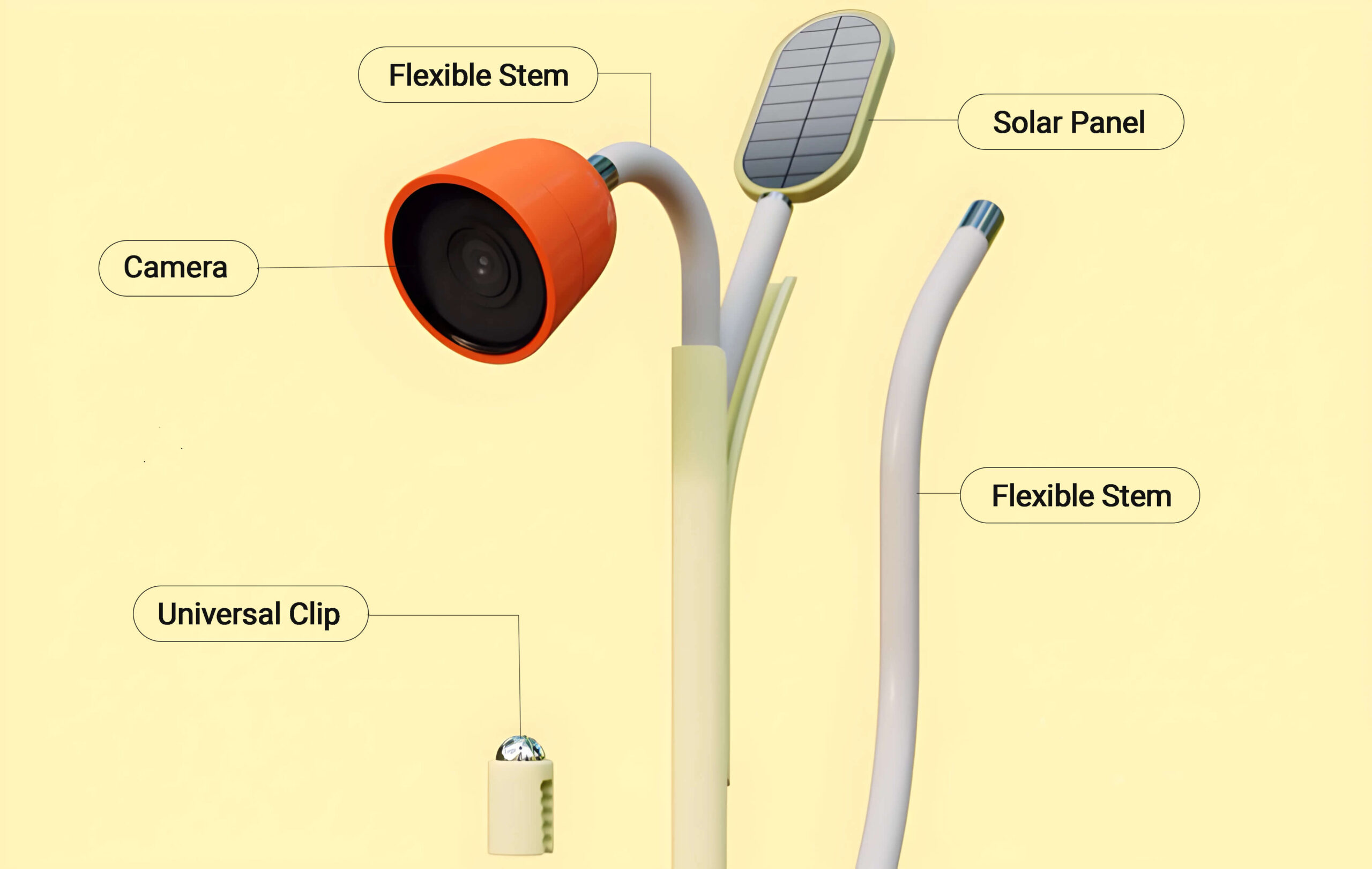 diagram petal scaled