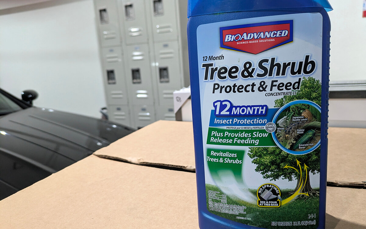 Imidacloprid pesticide for the prevention of weevils