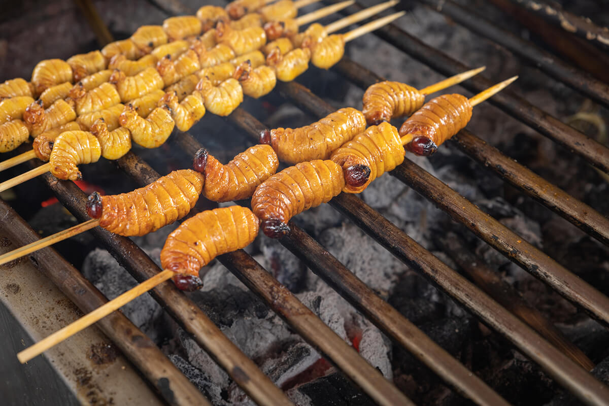 red palm weevil larvae on skewers cooking on a grill